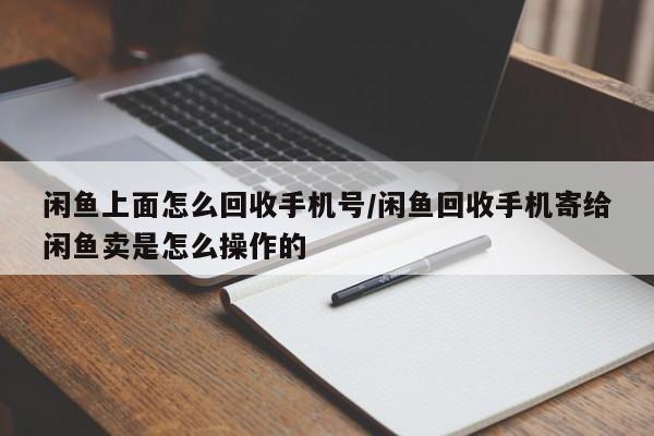 闲鱼上面怎么回收手机号/闲鱼回收手机寄给闲鱼卖是怎么操作的