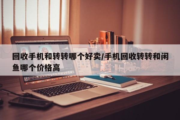 回收手机和转转哪个好卖/手机回收转转和闲鱼哪个价格高